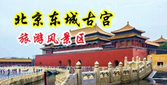 操美女鸡巴网站中国北京-东城古宫旅游风景区